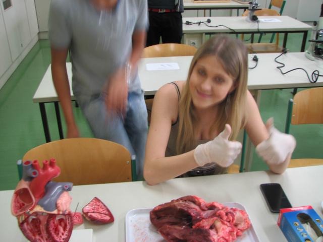 Bild 085.jpg