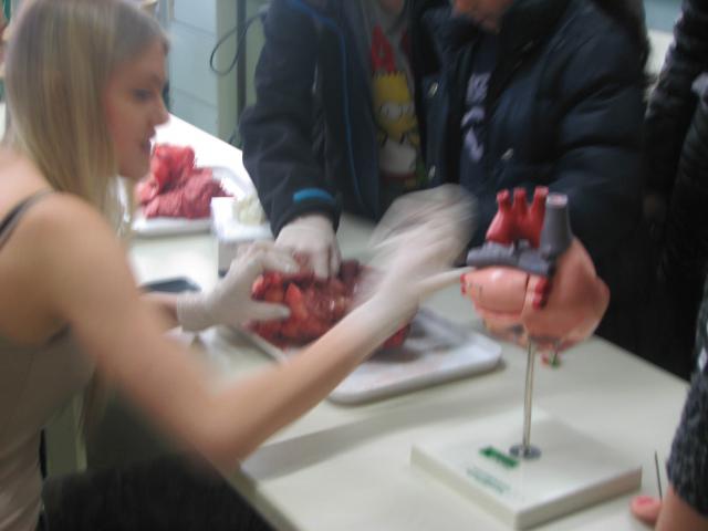 Bild 195.jpg