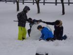DSC02259.jpg