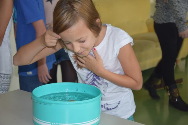 DSC_0406.jpg