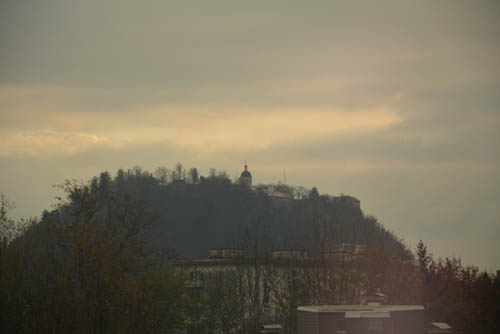 DSC_8856.jpg