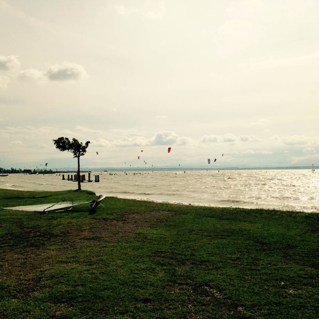 thumb_IMG_1458_1024.jpg