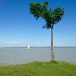 thumb_IMG_1477_1024.jpg