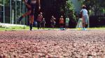 DSC00658.jpg