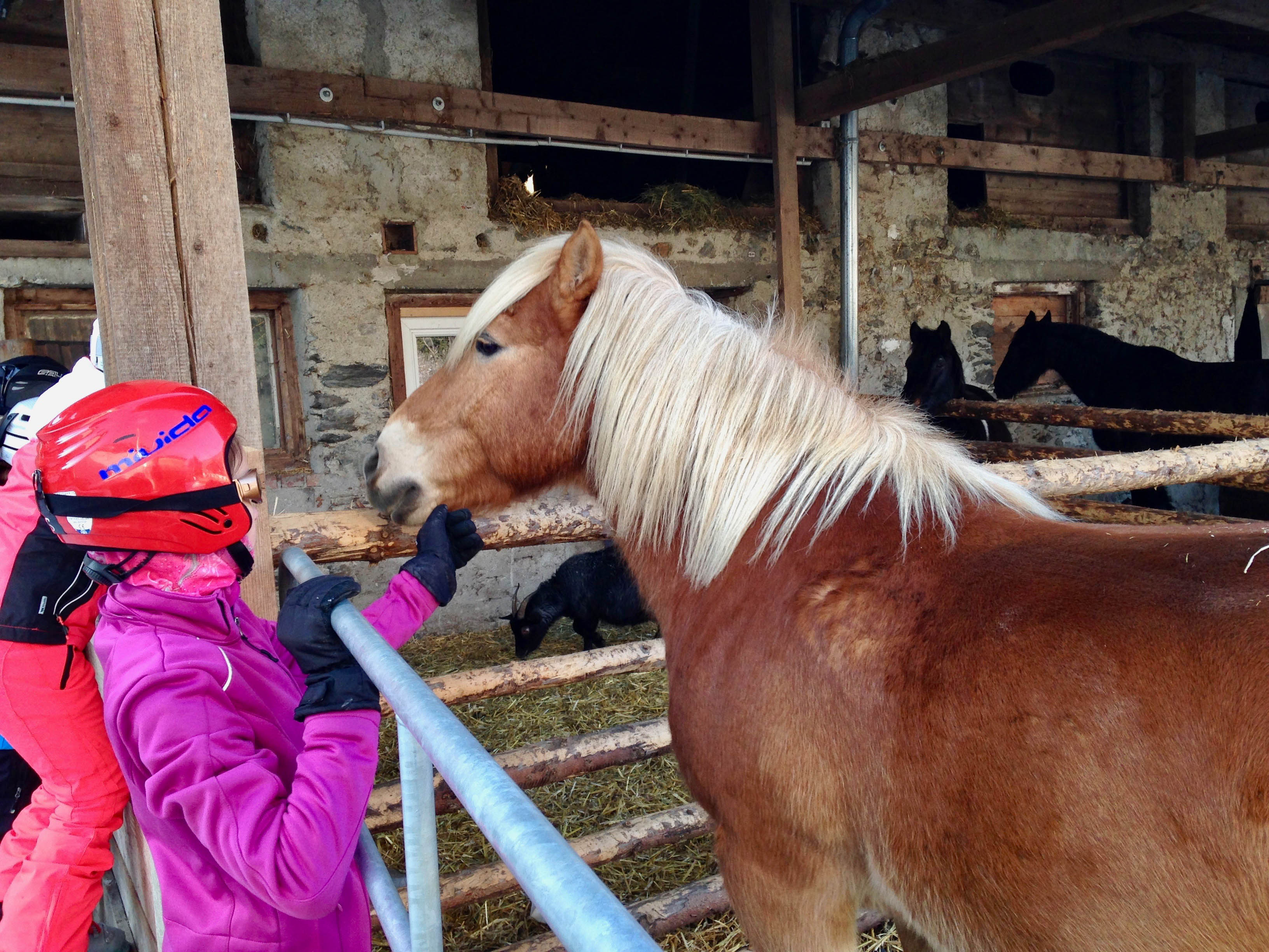 SK2017_4.jpg