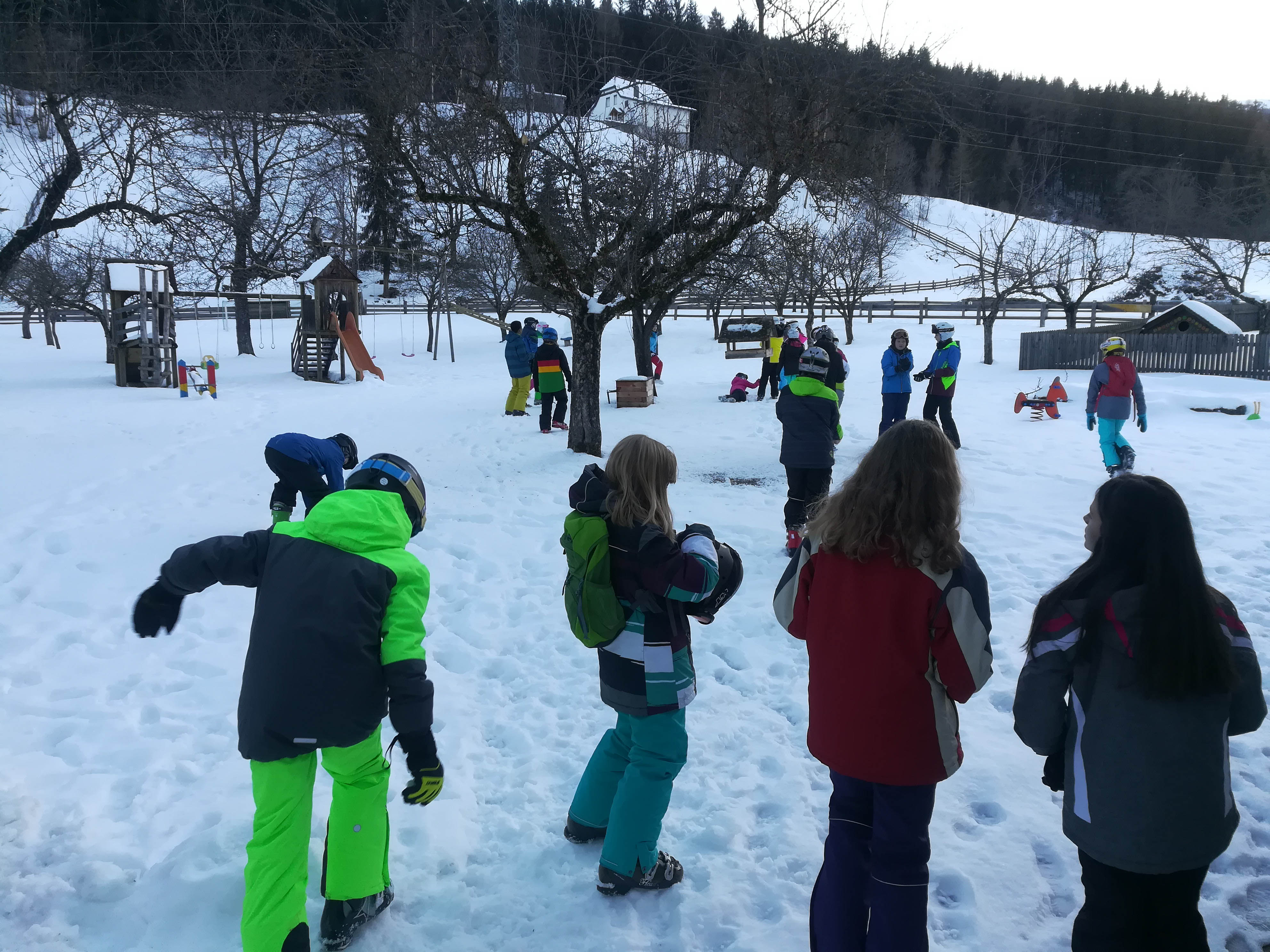 IMG_20180124_160530.jpg