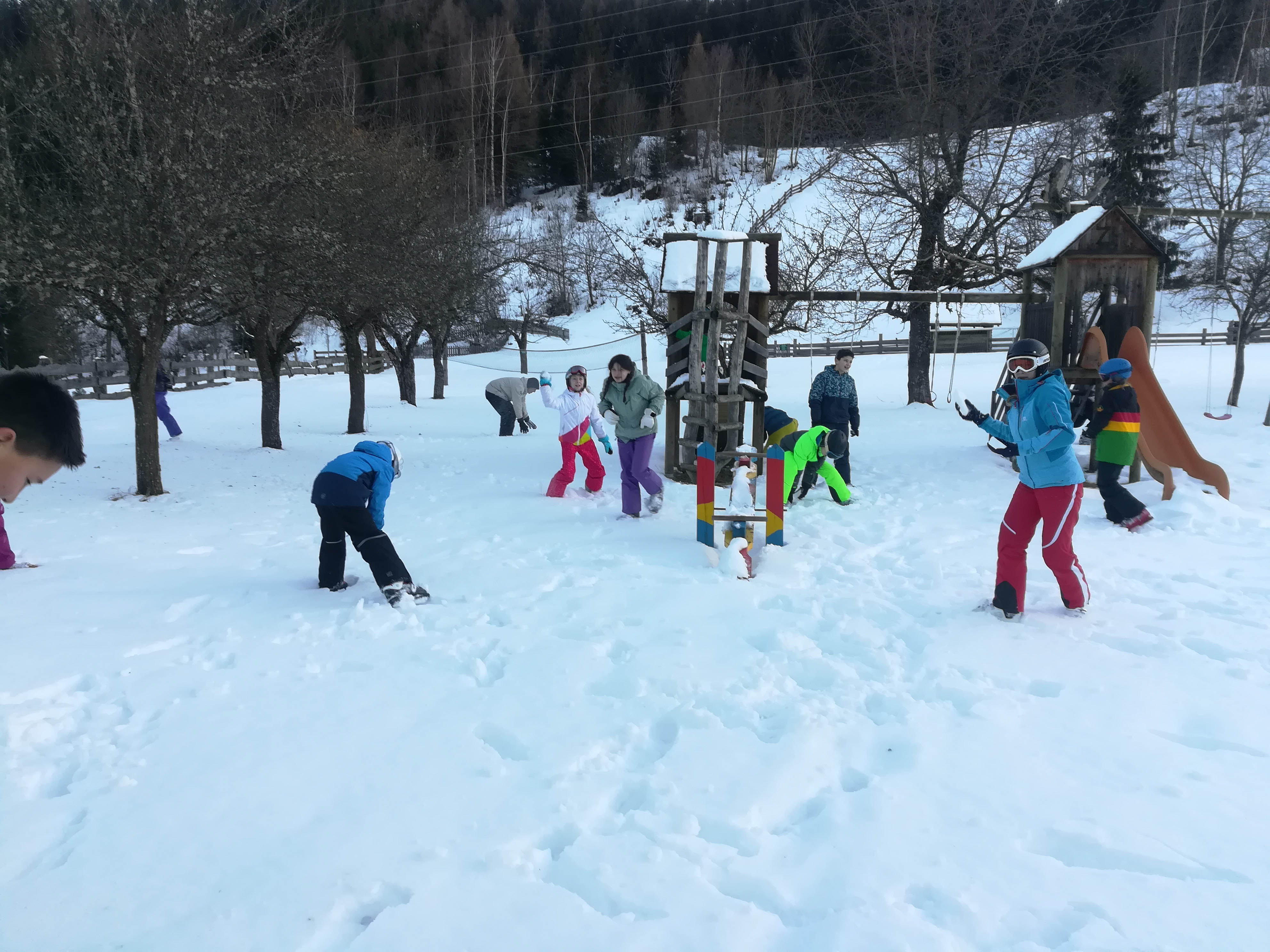 IMG_20180124_160718.jpg