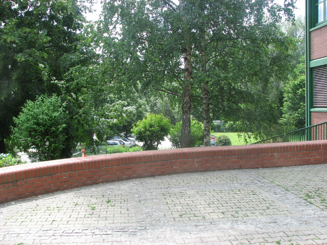 IMG_4267.jpg