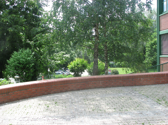 IMG_4268.jpg