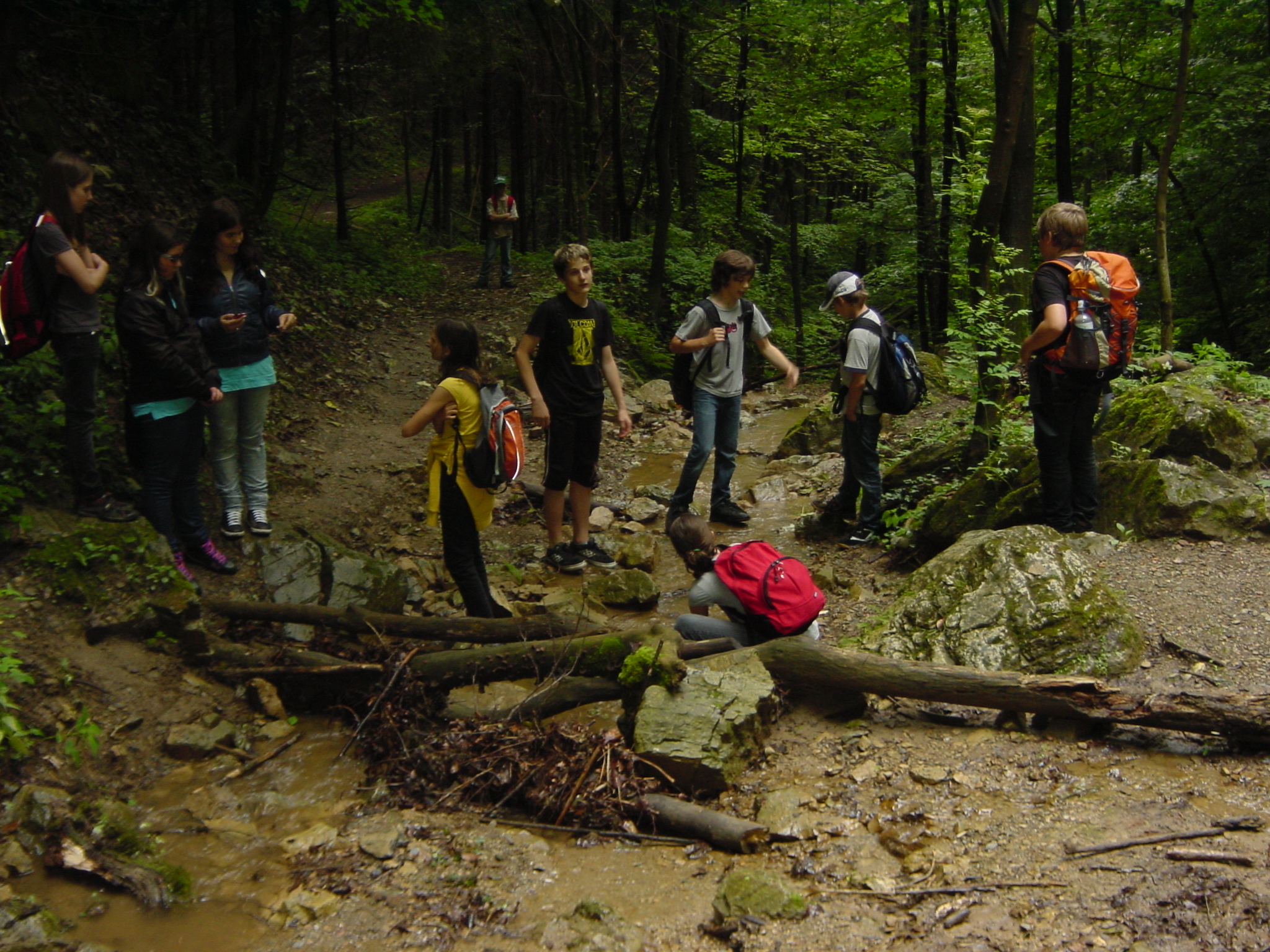Wildoner See, Lurgrotte 046.jpg