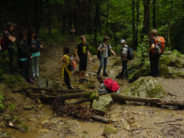 Wildoner See, Lurgrotte 046.jpg