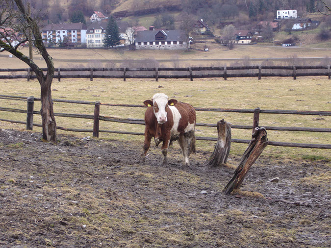 _3132442010.jpg